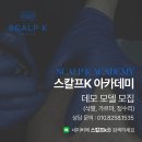 스칼프K 이미지