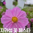 자라섬남도2(짚라인) | 서울 근교 나들이 추천! 자라섬 꽃 페스타에서 만난 꽃길과 힐링