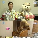 인형의 거리(개) 이미지