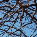 주약현대2차아파트 이미지