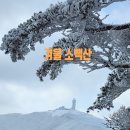 (01/31)소백산(단양)산행신청, 눈꽃산행, 죽령~연화봉 이미지
