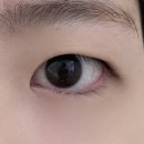 라윤채