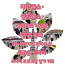 건강체조,라인댄스 | 라인댄스·실버댄스·실버체조 자격증 완전 정리 50+세대가 꼭 알아야 할 새로운 커리어 시니어...