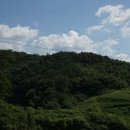 보라농장2 이미지