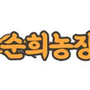 순희농장 네이버블로그