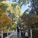 ㈜수도환경 | [25.11.7.금] 2025 한강수계 걷기행사 (뚝섬-서울숲) 참여 후기