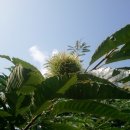 하이디 펜션 이미지