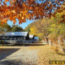 별드림캠핑장 이미지