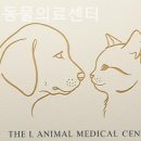 더엘동물의료센터 이미지