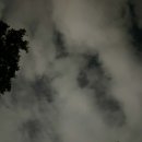 버드내도서관 3층 이미지