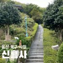 신흥사 구 대웅전 단청반자 | 울산 사찰 절 가을단풍 산책하기 좋은곳 신흥사