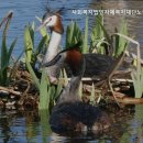자혜요양원 네이버블로그