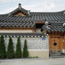 홍시스테이 이미지