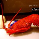 싱싱한마켓 이미지