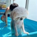 주흥3길 1 이미지