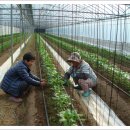 푸르농장 이미지