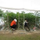 통영세무서 이미지