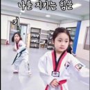 천무태권도 이미지