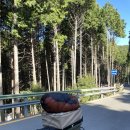 흥덕4로 15번길6 | 사천 케이블카 자연휴양림 솔로캠핑 6번데크 후기