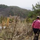 곡성-219 이미지