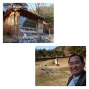 구래초교앞(상동읍-2) | 김삿갓유적지및 거주지. 문학관. 단풍산 솔나무 2025.12.27-30 ( 4 )