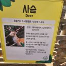 알파월드 이미지