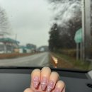 무한대장군 | [대구 포항] 가족여행 스팟 추천|현풍시장 이방아지매 소구레집/동성로 중앙떡볶이/포항 죽도시장 화도...