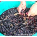 용석농장 이미지