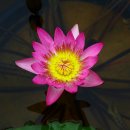 수경주유소 이미지