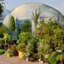 이동꽃마을 이미지