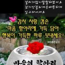 스마일 해피 이미지