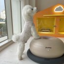 멍문사립유치원 리틀멈머 이미지