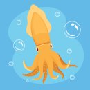 문어다리여덟개 이미지