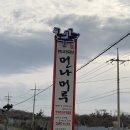 먼나머루 이미지