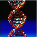 (주)바이오닷 이미지