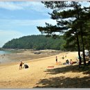 꾸지나무골해수욕장 이미지