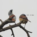 낙동강변26 이미지