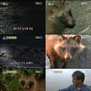 신기가족농장 이미지