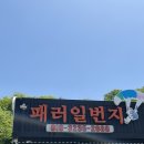 애견일번지 | 충북 단양 패러글라이딩 체험 패러일번지 당일 예약 할인 후기