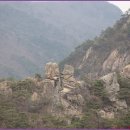 양지-3573 이미지