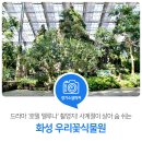 봉은이용원 경기도뉴스