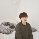 산들 강아지 이미지