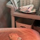 룰루랄라 PC방 | 2026. 1. 5. - 1. 11. 숨어있는 저 친구는 유자라고 합니다