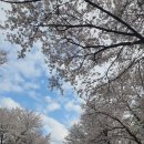 상백1리 마을회관 이미지