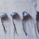 더엔비헤어 이미지