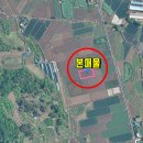 청도공인중개사사무소 이미지