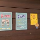 맨앤독 애견카페 이미지