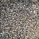 춘식농장 이미지