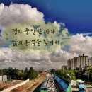 풍동 당산목 및 산치성 | 고양시 경의·중앙선 따라 삶의 흔적을 찾아