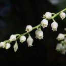 하례2리 이미지